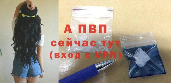 ECSTASY Ладушкин