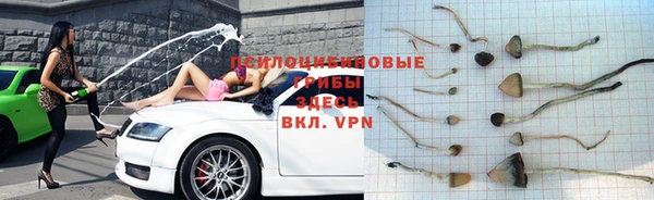 таблы Лабытнанги