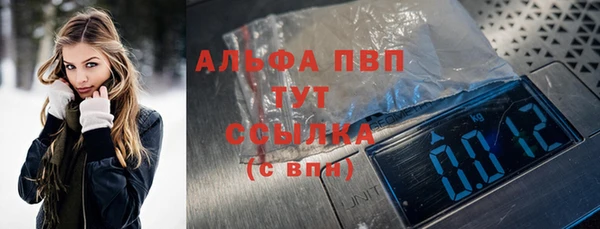 шишки Щигры
